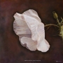 Artwork_images_239_219287_kate-breakey_sq_90