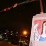 Gingham_goose_sq_90