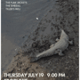 Trophys_0719_flyer_sq_90