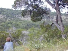 Wildbasin2_poster