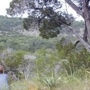 Wildbasin2_sq_90