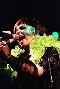Bjork_poster