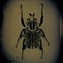 Bugkut_sq_90