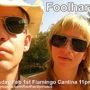 Feb1flamingosm_sq_90