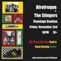 Stingerfreque_sq_90