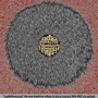 Bd_sq_90
