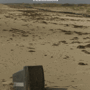1116flyergif_sq_90