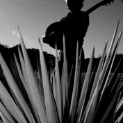 Alejandroescovedo-1-web_sq_177
