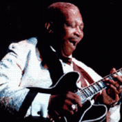 239x239_bbking_sq_177