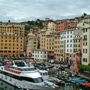 Camoglir_small_sq_90