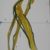 Kc8_sq_177