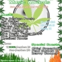6stsmokeoutflier_sq_90