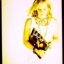 Bonnie_bishop_sq_64
