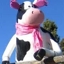 Madcow_sq_64