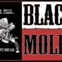 Black_molly_sq_90
