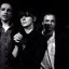 Cat_power_sq_64