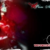 Prom_nite_sq_177