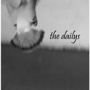 The_dailys_sq_90