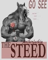 The_steed_poster