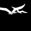 Skyrider_sq_64