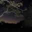 Ghost_night_sq_64