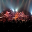 Lotus_playing_sq_64