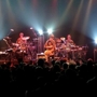 Lotus_playing_sq_90
