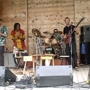 Rattletree_sq_90