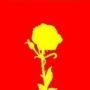 1_sq_90
