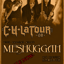Meshuggahtourflyer01_sq_64