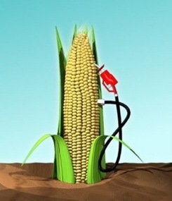 ethanol.jpg