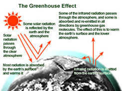 greenhouse.jpg