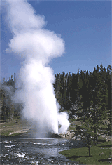 yellowstone2.gif