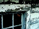 tip7.jpg