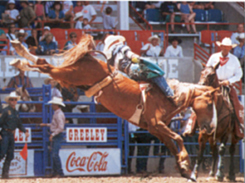 es_co_rodeo_1_e.jpg