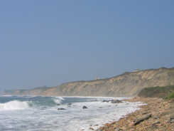 ri.JPG