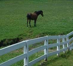 kentucky.jpg