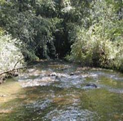 rifleriver.jpg