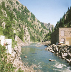 montana.jpg