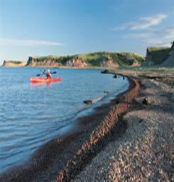 nd.jpg