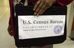 CensusBag.jpg