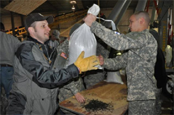 sandbags.jpg