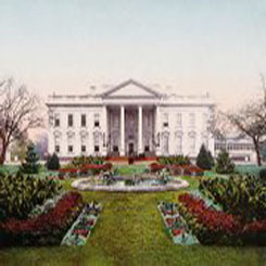 white-house.jpg