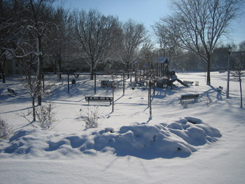 winter_park_pic_2.jpg