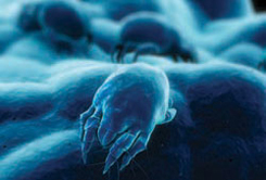 asthma05.jpg