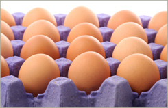 eggs.jpg