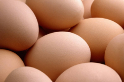 eggs2.jpg