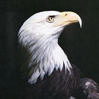 mt3.jpg