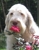 N1411931247_30192343_1711_thumbnail