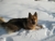 408254_10150469702044091_509269090_9114380_1168135990_n_thumbnail